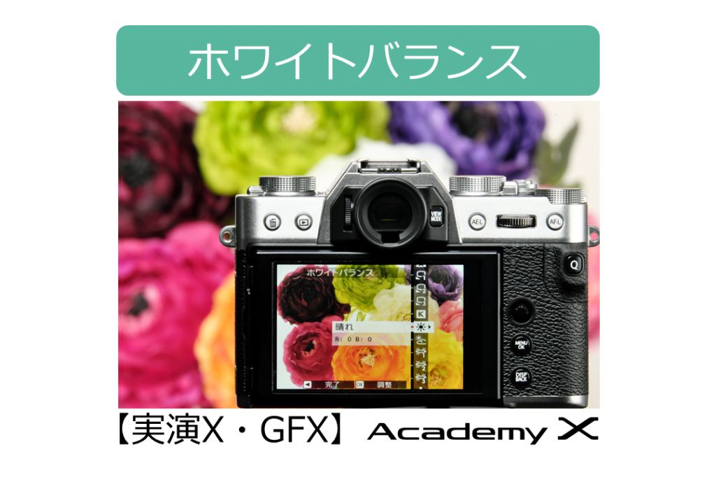 イメージ：【実演X・GFX】『ホワイトバランス』Academy X