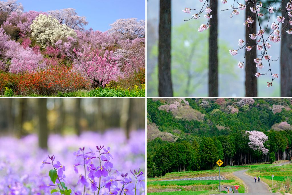 イメージ：終了しました【オンライン】「自分らしい風景写真」表現を楽しむための撮影リズム ～春を前に～ -全1回-