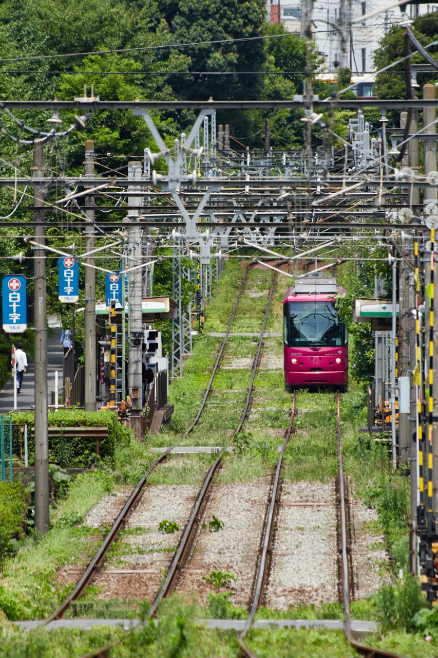 イメージ：生活感のある鉄道風景を東京さくらトラム（都電荒川線）と撮る！ -全1回-