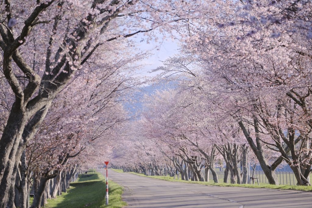 【オンライン】春夏の風景を美しく写すカメラとレンズの選び方 参考画像2